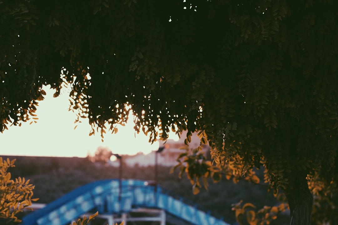 Locuri Mai Puțin Știute De Vizitat În Aleșd