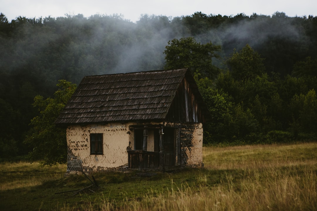 Unde Să Mergi În Baia Mare, Județul Maramureș
