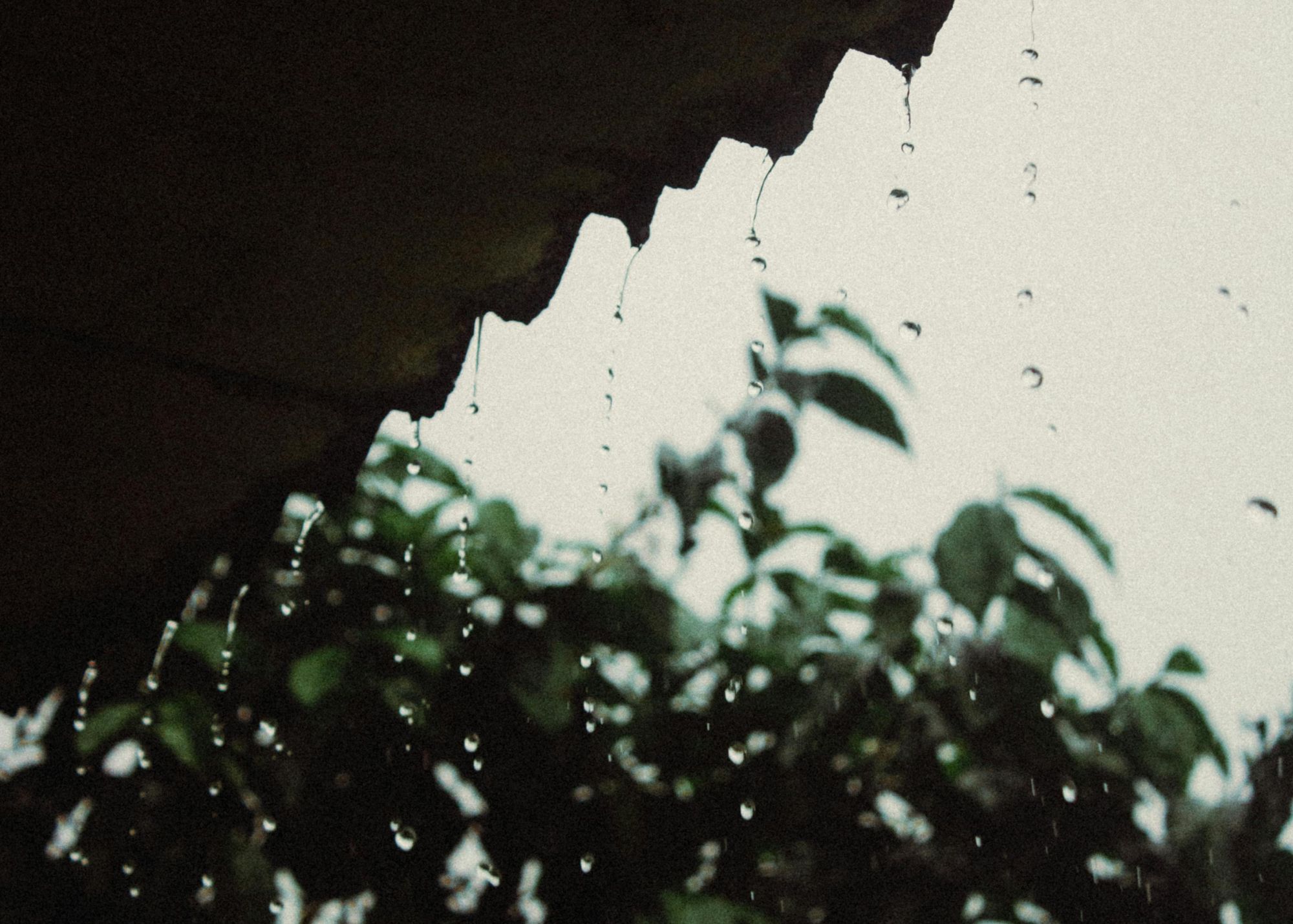 Cât de rezistent este un acoperiș de țiglă metalică în fața intemperiilor?