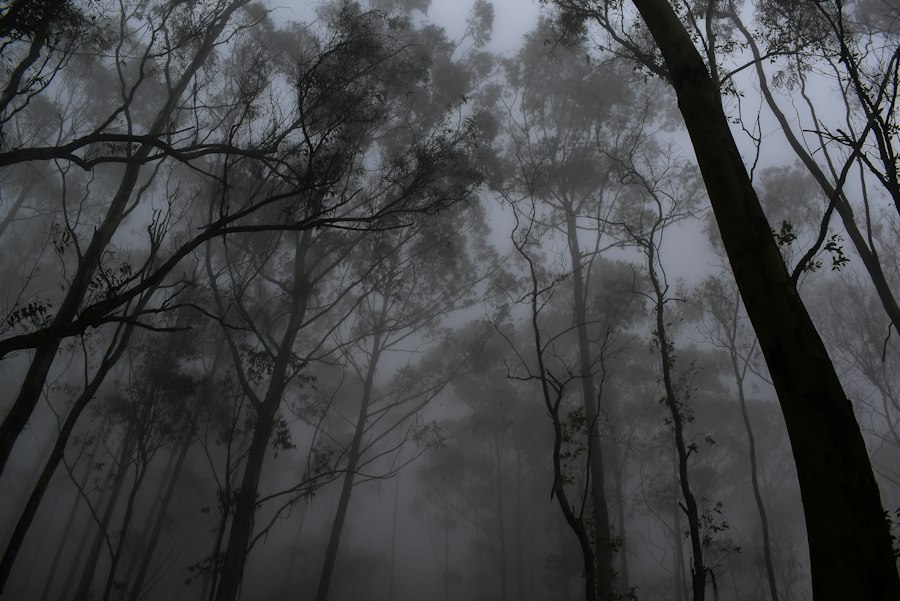 Photo folklore