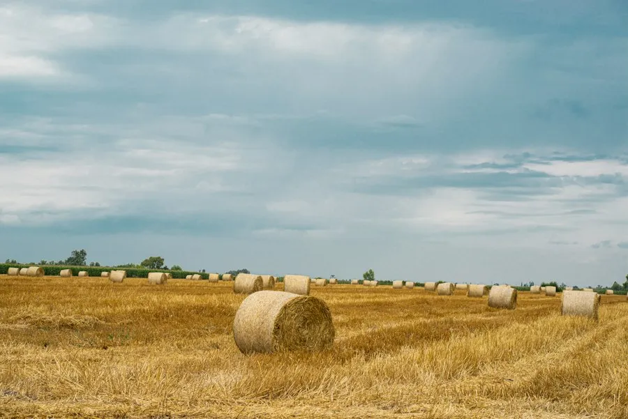 Photo Romanian folklore traditions